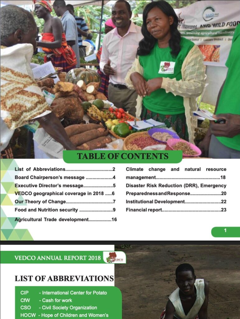 2019-Annual-Report