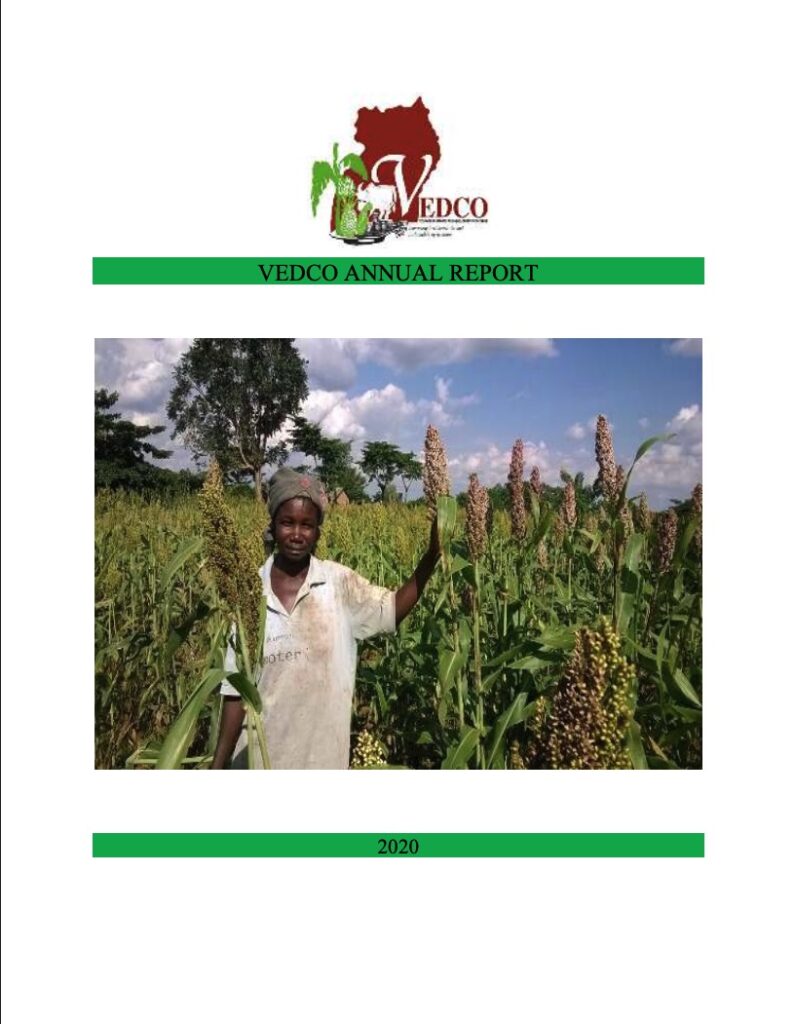 2020-Annual-Report
