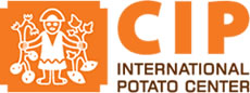 cip.jpg