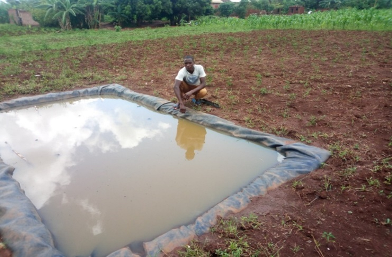 Vedco Uganda