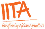 iita.jpg