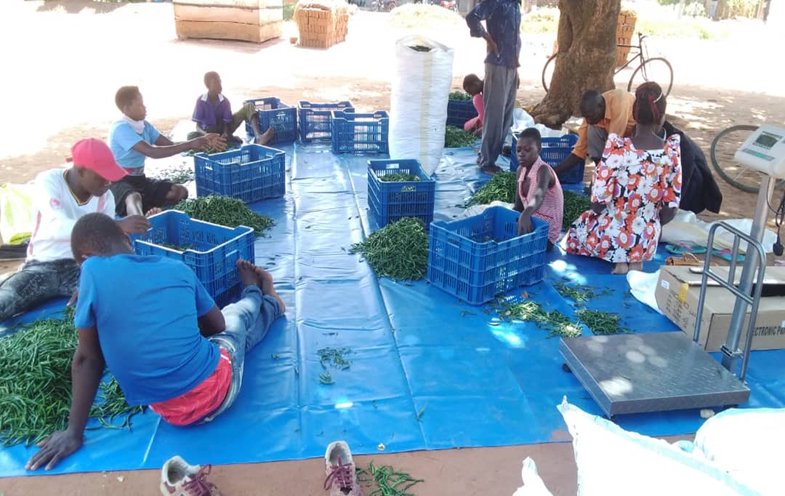 Vedco Uganda