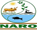 naro.jpg