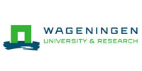 wagen.jpg